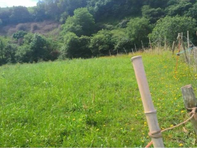 Terreno en venta en Puente Viesgo, Cantabria