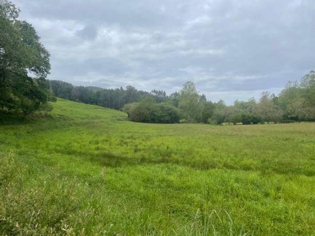 Terreno en venta en Puente Viesgo, Cantabria