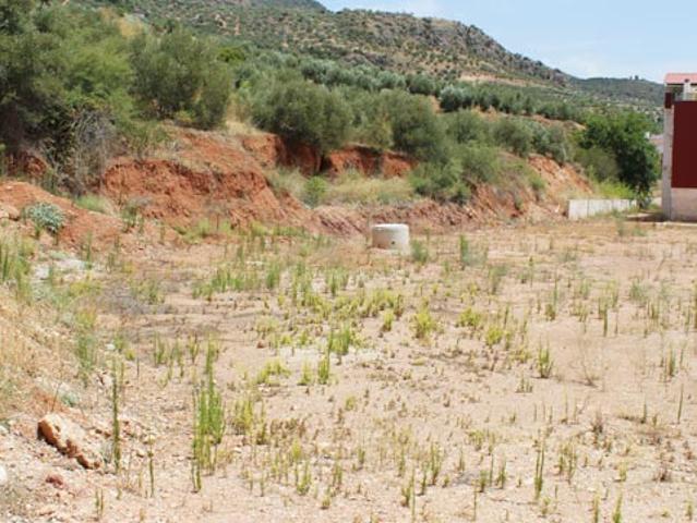 Terreno en venta en La Puerta De Segura, Andalucía