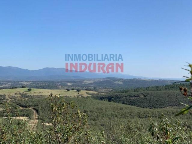 Terreno en venta en Puerto De San Vicente, Toledo