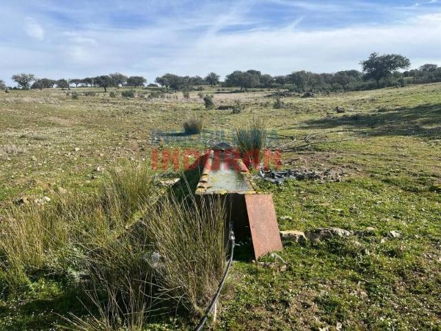 Terreno en venta en Puerto De San Vicente, Toledo