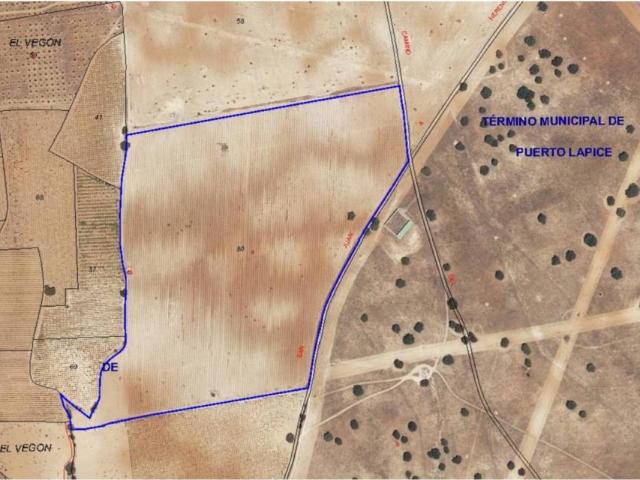 Terreno en venta en Puerto Lápice, Castilla-La Mancha
