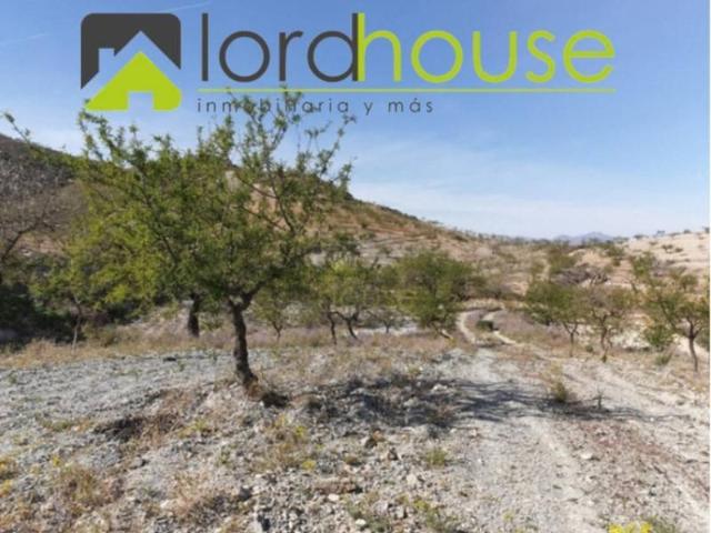 Terreno en venta en Las Casicas, Alto Guadalentín