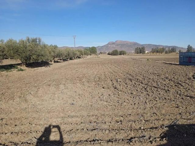 Terreno en venta en Las Casicas, Alto Guadalentín