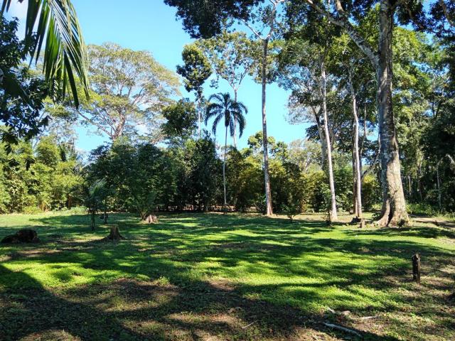Terreno venta en Madre De Dios