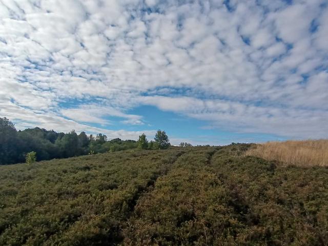 Terreno en venta en Llanquihue, Los Lagos