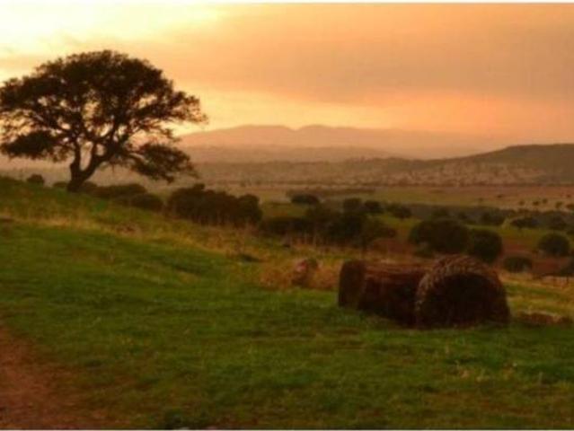 Terreno en venta en Puertollano, Castilla-La Mancha