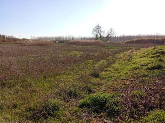 Terreno en venta en Cinca Medio, Aragón
