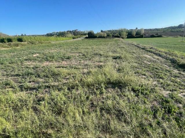 Terreno en venta en Garrigues, Catalunya