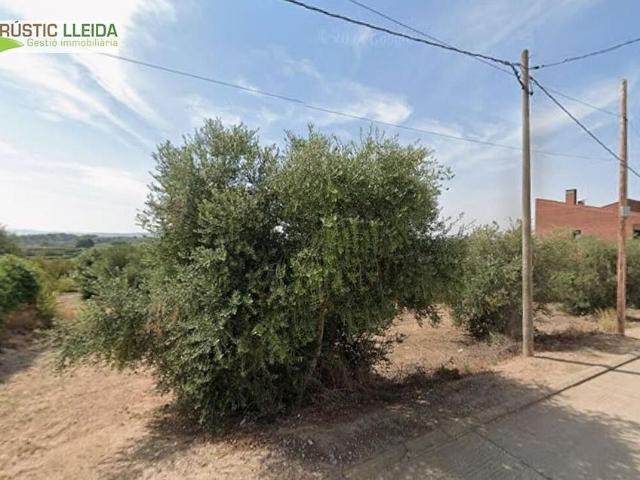 Terreno en venta en Garrigues, Catalunya