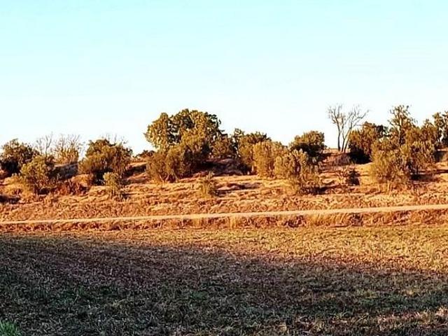 Terreno en venta en Garrigues, Catalunya