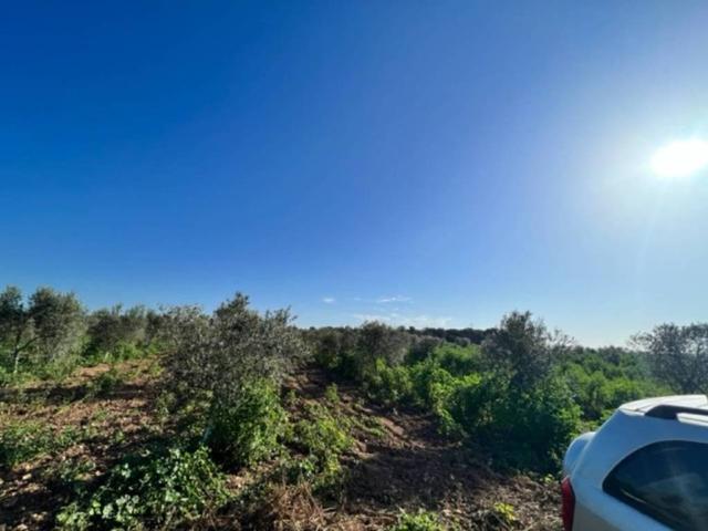 Terreno en venta en Alt Camp, Catalunya