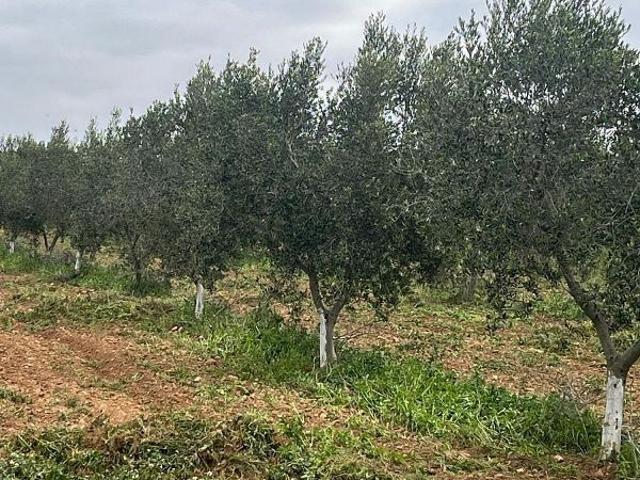 Terreno en venta en Alt Camp, Catalunya