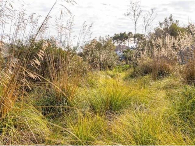 Terreno en venta en Serra de Tramuntana, Baleares