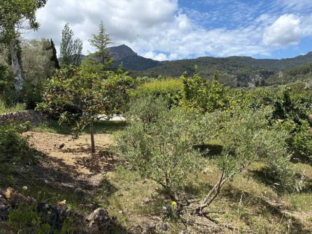 Terreno en venta en Serra de Tramuntana, Baleares