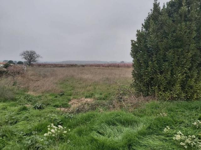 Terreno en venta en Segrià, Catalunya