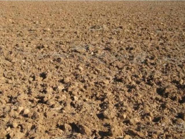 Terreno en venta en Segrià, Catalunya