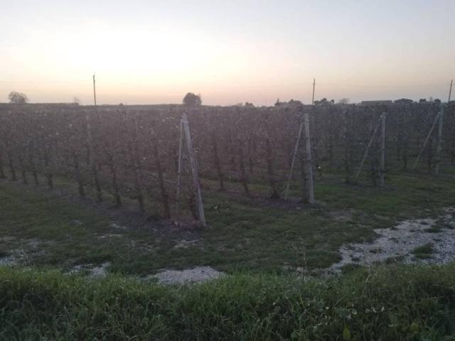 Terreno en venta en Segrià, Catalunya