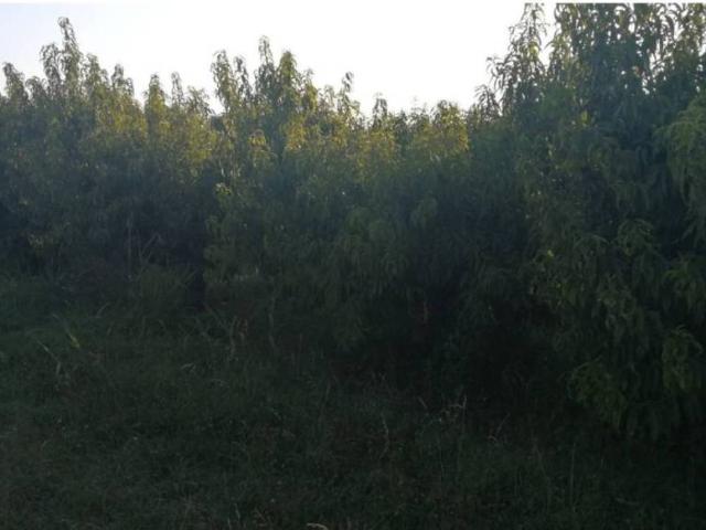 Terreno en venta en Segrià, Catalunya