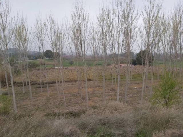 Terreno en venta en Segrià, Catalunya