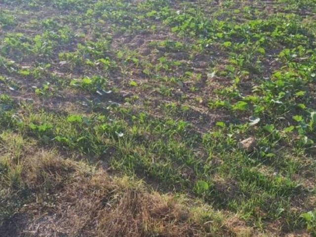 Terreno en venta en Segrià, Catalunya
