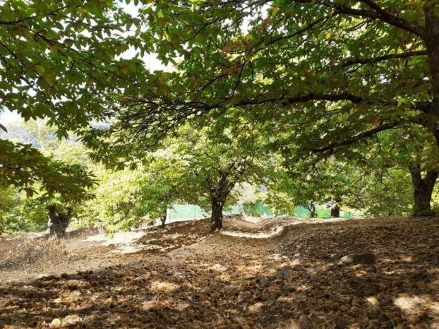 Terreno en venta en Serranía de Ronda, Andalucía
