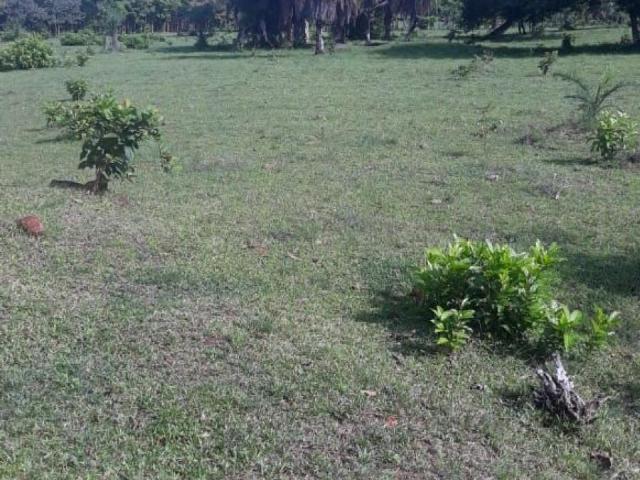 Terreno venta en San Martín de Porres, Santiago