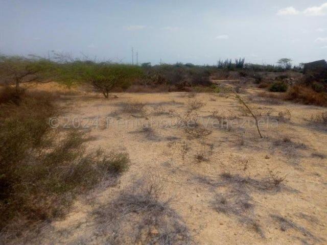 Terreno en venta en Punto Fijo, Falcón