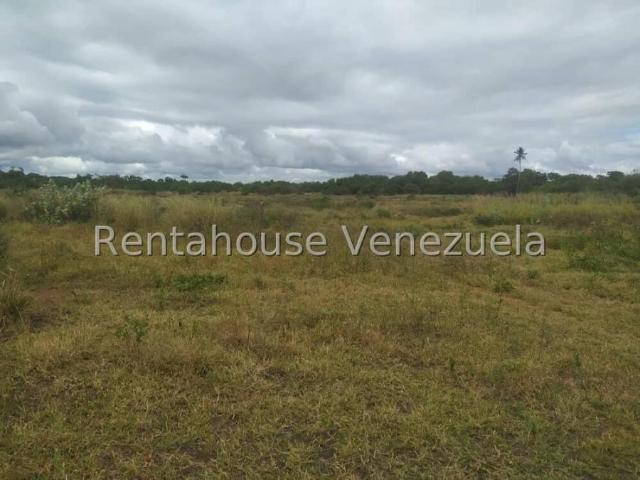 Terreno en venta en Punto Fijo, Falcón