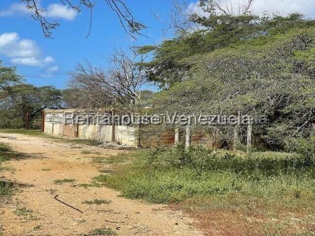 Terreno en venta en Punto Fijo, Falcón
