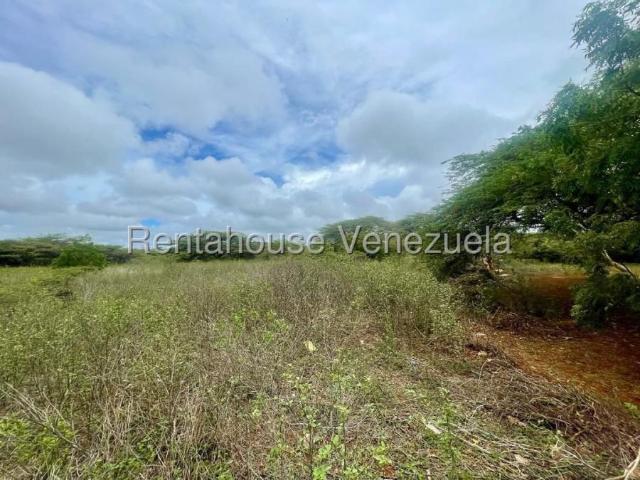 Terreno en venta en Punto Fijo, Falcón