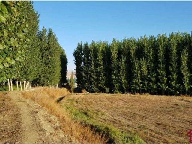 Terreno en venta en Comarca de Guadix, Andalucía