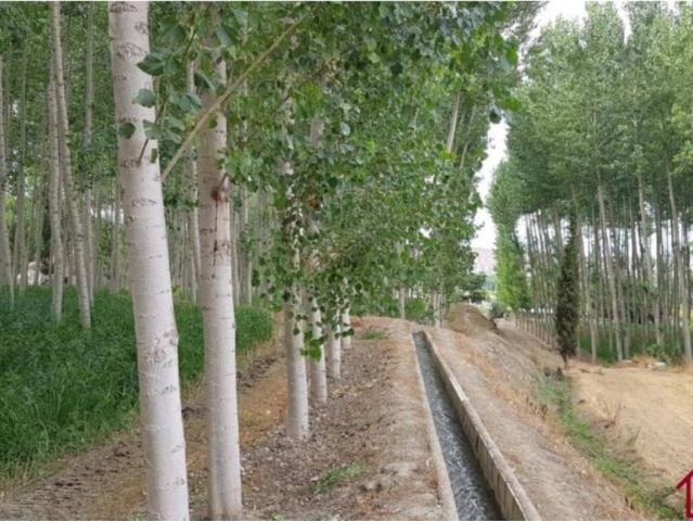 Terreno en venta en Comarca de Guadix, Andalucía