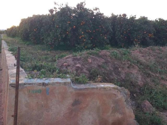 Terreno en venta en l'Horta Sud, Valencia