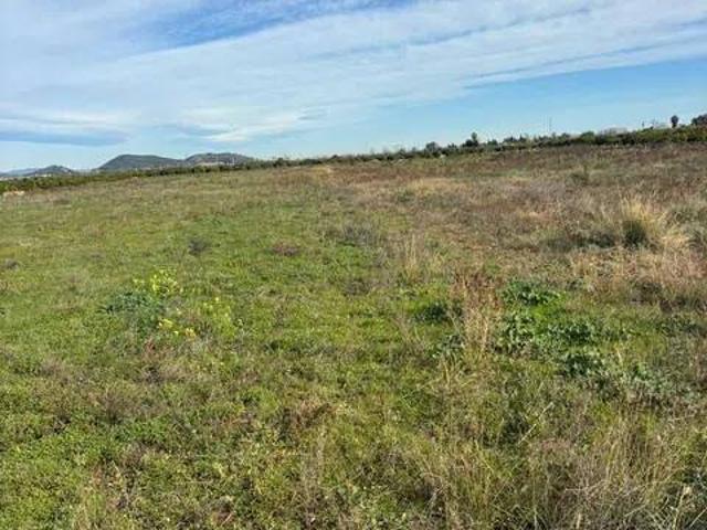 Terreno en venta en el Camp de Morvedre, Valencia