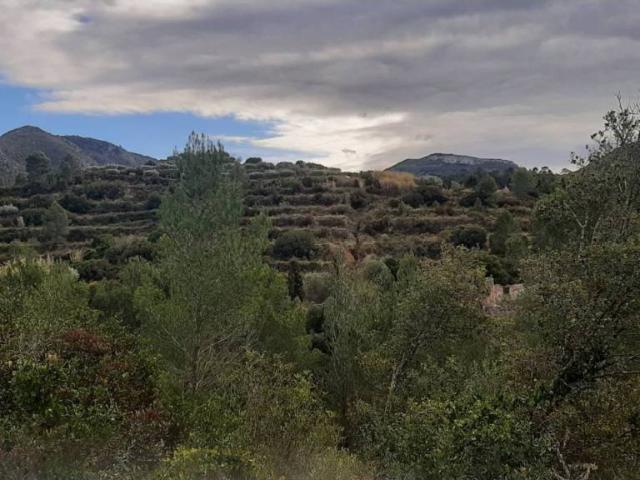 Terreno en venta en la Vall d'Albaida, Valencia
