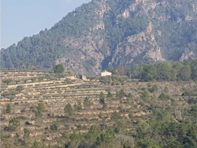 Terreno en venta en la Vall d'Albaida, Valencia