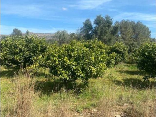 Terreno en venta en la Vall d'Albaida, Valencia