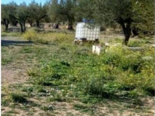 Terreno en venta en la Vall d'Albaida, Valencia