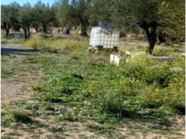 Terreno en venta en la Vall d'Albaida, Valencia