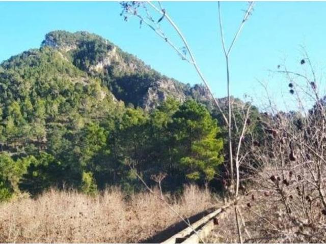 Terreno en venta en la Vall d'Albaida, Valencia