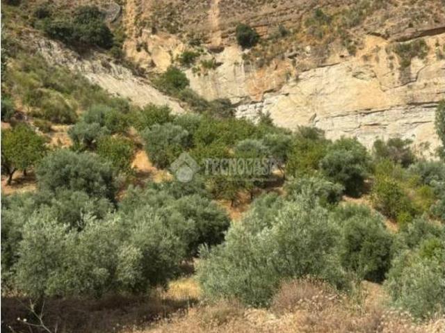 Terreno en venta en Comarca de la Vega de Granada, Andalucía