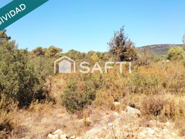 Terreno en venta en Querol, Tarragona