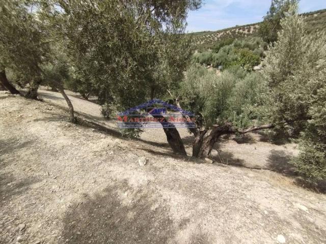 Terreno en venta en Quesada, Andalucía