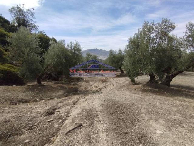 Terreno en venta en Quesada, Andalucía