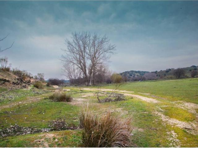 Terreno en venta en Quijorna, Madrid