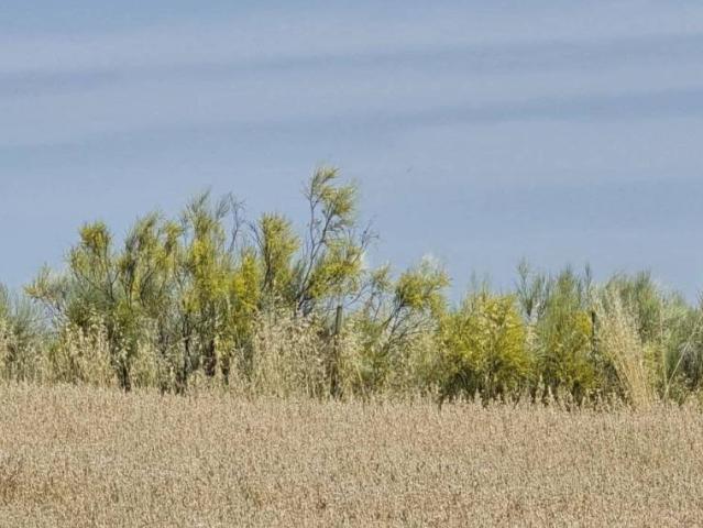 Terreno en venta en Quijorna, Madrid