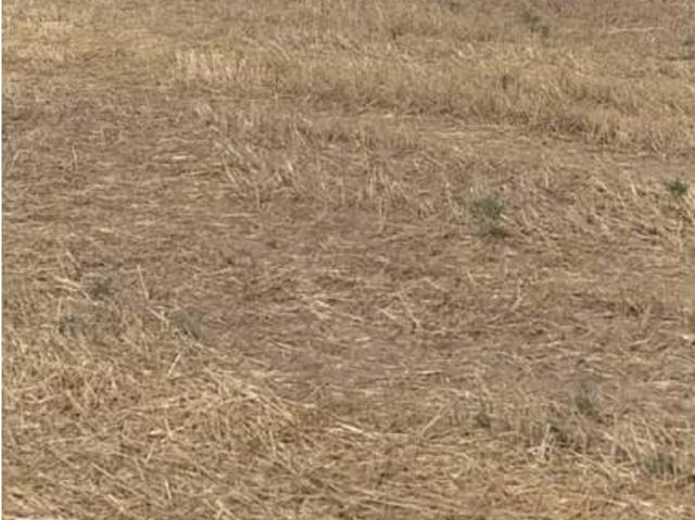 Terreno en venta en Quijorna, Madrid