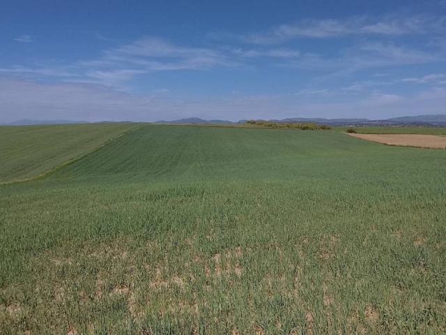 Terreno en venta en Quijorna, Madrid
