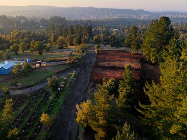 Terreno en venta en Diguillín, San Ignacio